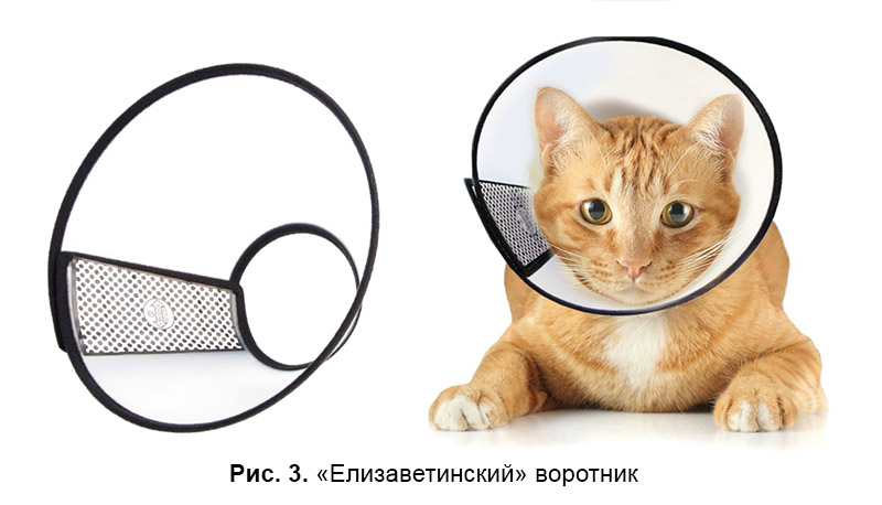 Елизаветинский воротник